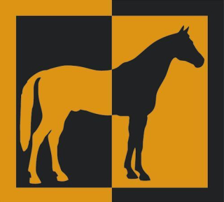 Logo Pferdeklinik Seehof